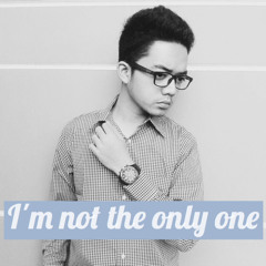 Sam Smith - Im Not The Only One (cover)