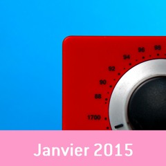 Le podcast radio des Amis du musée de Grenoble / Janvier 2015 avec Cédric Avenier