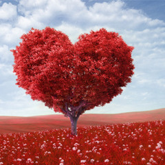 Tangle Club - I Wish You Love