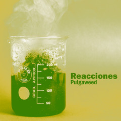 Es un proceso