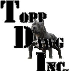 TDI CashBall Ft TDI Skandless Ft TDI El Chopo - What You Sayin