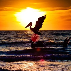 _sundown.   -Tape