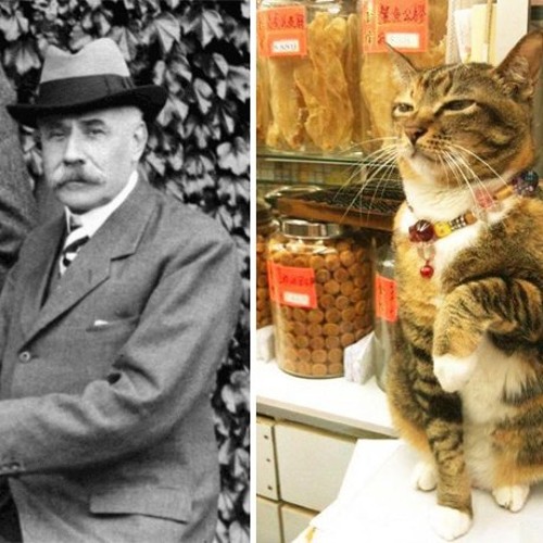 Variations on a Theme by Edward Elgar (for Viola Quintet)