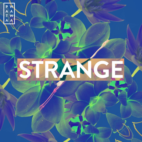 Patawawa - Strange