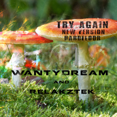 Try Again New Version feat WantyDream(preview)