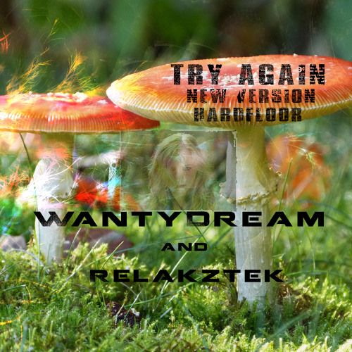 Try Again New Version feat WantyDream(preview)