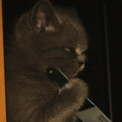 Tismé - etisaraP (free download)