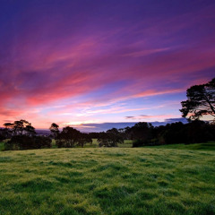 Sunset in the Meadow (binaural beats meditation music)