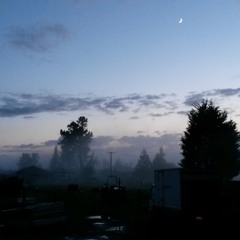 Preach the Truth don't be ashamed-Acoustic song Bro Hayden lead guitar worship our King Jesus Christ