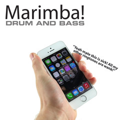 iPhone Marimba! - Drum and Bass remix