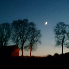 My House (with Olve, Nico & Jorgensen)