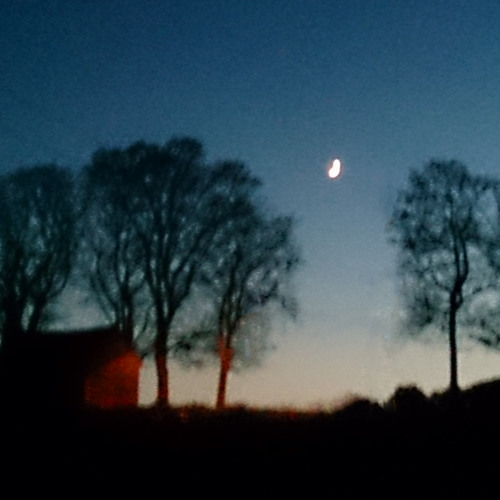 My House (with Olve, Nico & Jorgensen)