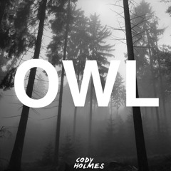 Cody Holmes - Owl (Original Mix)