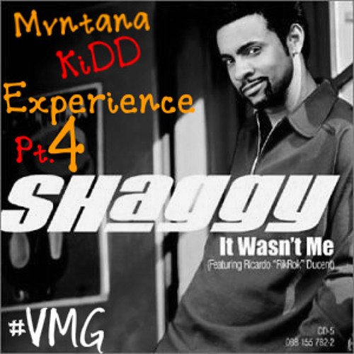 Hot Shot Shaggy Album