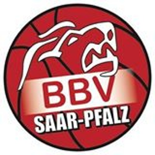 Kurzes Statement von Janik Schwalb nach dem Spiel BBV vs. BD/Speyer2