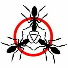 The ants BoBo-မစဥ္းစားနဲ႔သီခ်င္းမ်ားနဲ႔ကၾက