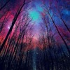 Icona Pop - I Dont Care(I Love It)