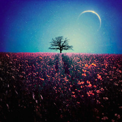 Night Talker (Free DL)