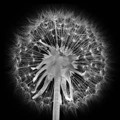 Matt Lickess - Deep Trance (December 2014)