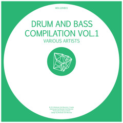 Drum and Bass Compilation Vol.1 - Various Artists