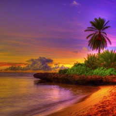 Dubstep, Tribal House, Electro Swing, Sax Mix for Johnny Rotar