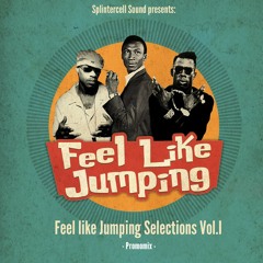 Feel like Jumping Selections Vol. I - Splintercell Sound