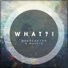 OneReaktor & Rullio - What ?! (Original Mix)