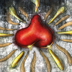 Vamos Almoçar no hospicio