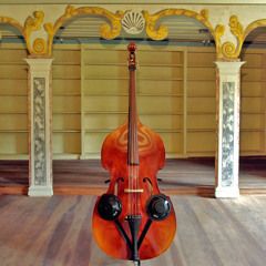 "Almost Solo" sound installation