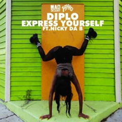 Haywyre & Zeros VS Diplo & Nicky Da B - Express Your Permutate Self (Naif Bootleg 2014)