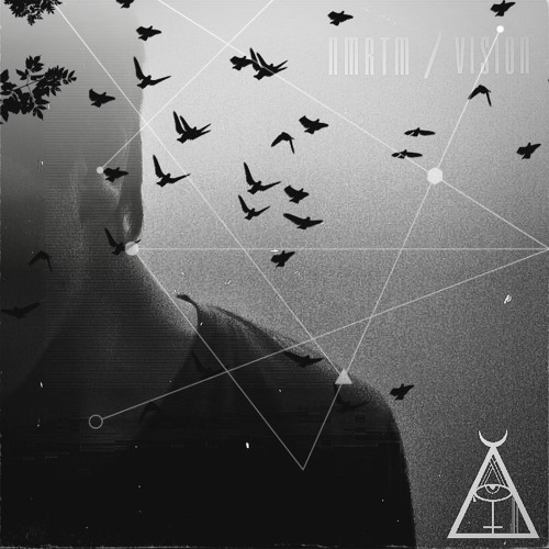 NMRTM - ＶＩＳＩＯＮ