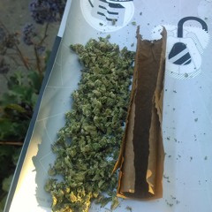 PROFIK - BUDDHA (REMIX)