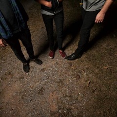 Autonomic Purge (pre pro)