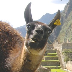 If You Want It (with Casio)