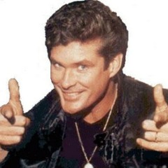 Don't Scoff At The Hoff!
