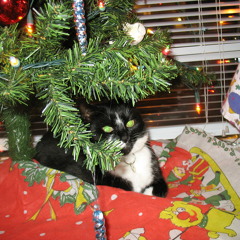 HappyChristmas Ever After