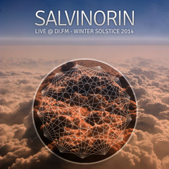Salvinorin LIVE @ DI Winter Solstice 2014