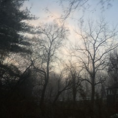 Find It In Me by William Fitzsimmons (cover)