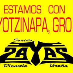 Morenita Consentida grupo bongo Exito Zayasrecords 2014 master