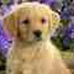 every praise by Hezekiah Walker