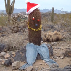 Desert Christmas