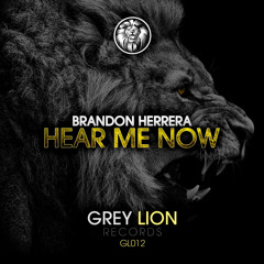 Brandon Herrera - Hear Me Now