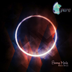 Blame Mate - 95 Whore (Original Mix)[Tempura Records]