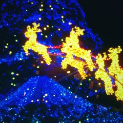 TAD - Giáng Sinh Trong Tôi