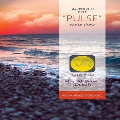 Andro V - Pulse Radio Show 017 December 2014