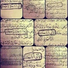 يا رب اسمع صلاتي_زياد شحاتة_احسبها صح 2014