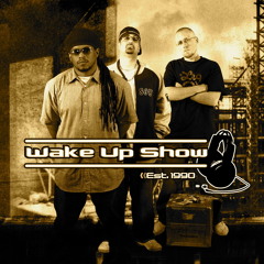 Wake Up Show "themed" mixes