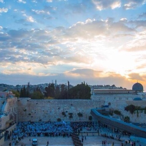 YEHUDI