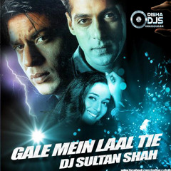 hum tumhare hain sanam