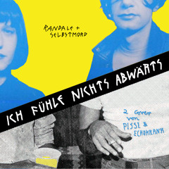 Abwärts (Echokrank Cover)